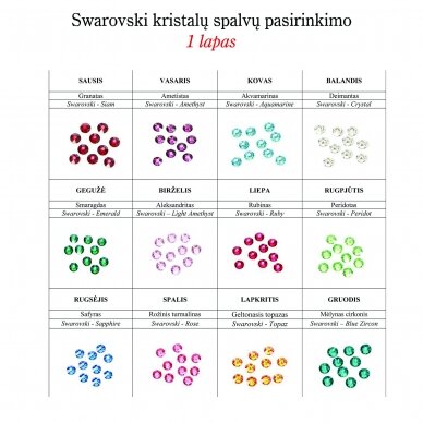 Personalizuotas drugelis mergaitei su Swarovski kristaliukais 7